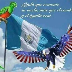 Meet your Posher, Jan